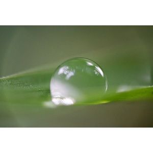 Meet your Posher, Danny